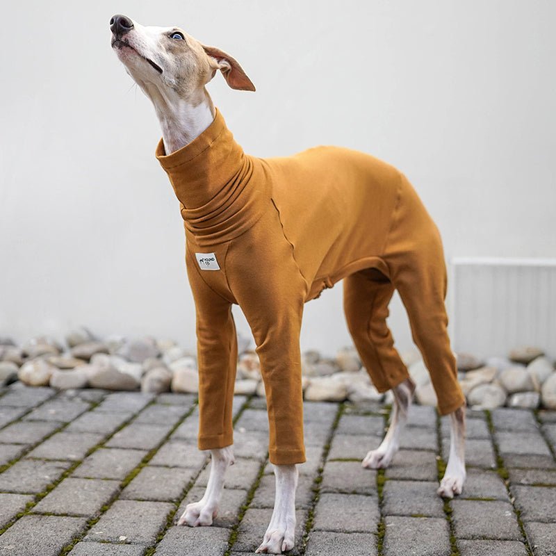 Turtleneck Onesie Italian Greyhound Whippet Dog Clothes - PIKAPIKA