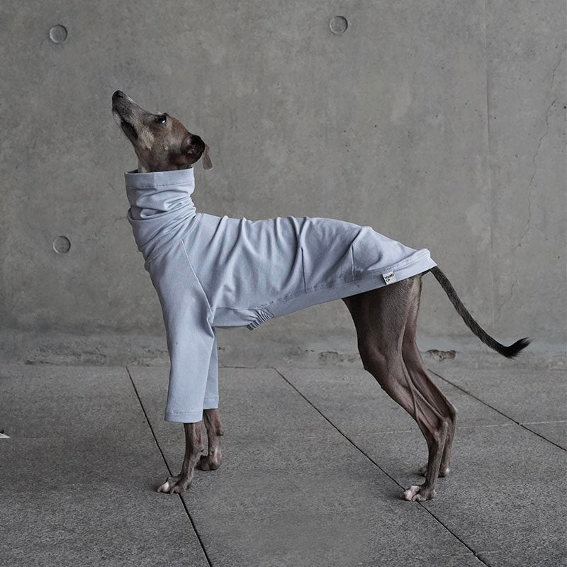Turtleneck Shirts for Italian Greyhound Whippet Dog Clothes - PIKAPIKA