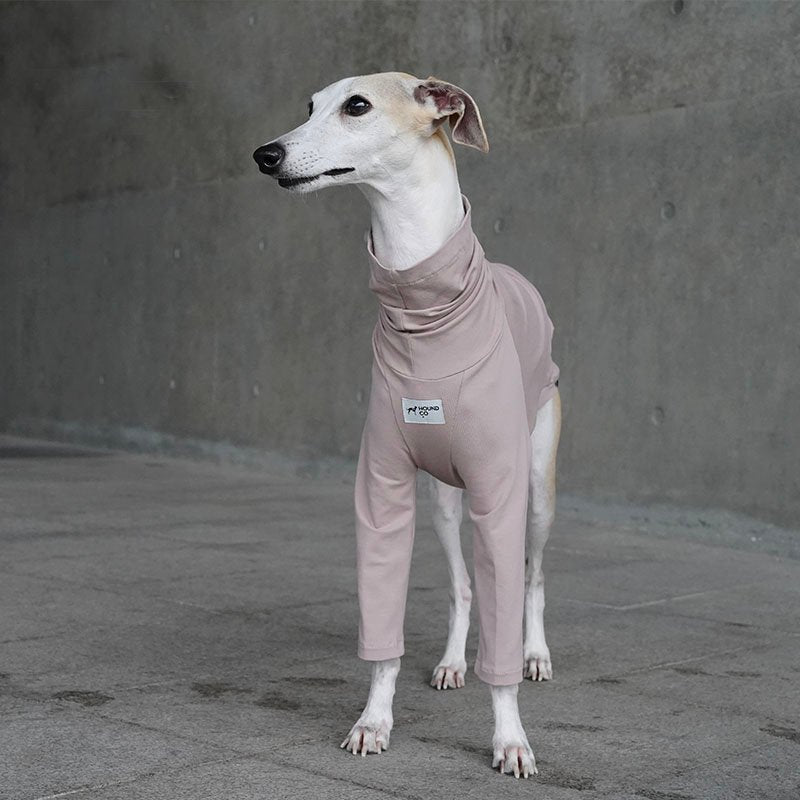 Turtleneck Shirts for Italian Greyhound Whippet Dog Clothes - PIKAPIKA
