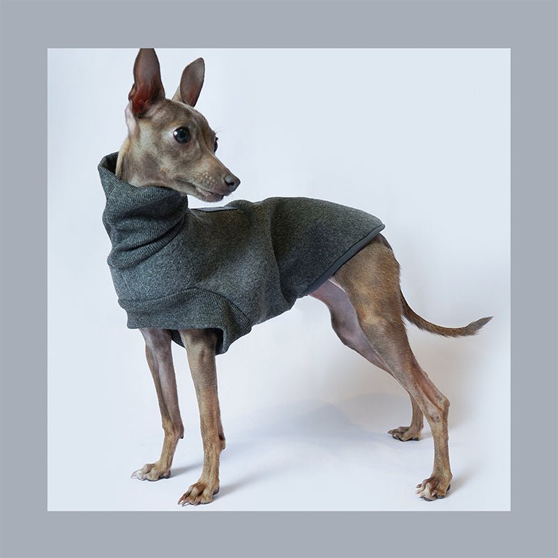 Turtleneck Shirts Sleeveless Italian greyhound Whippet Dog Clothes - PIKAPIKA