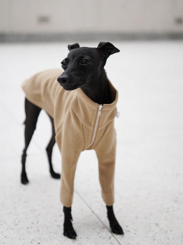 Turtleneck Zip Shirts for italian greyhound whippet - PIKAPIKA