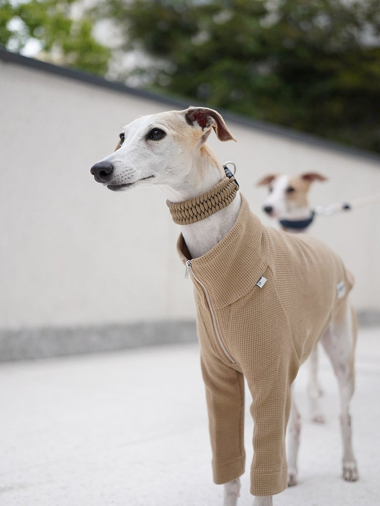 Turtleneck Zip Shirts for italian greyhound whippet - PIKAPIKA