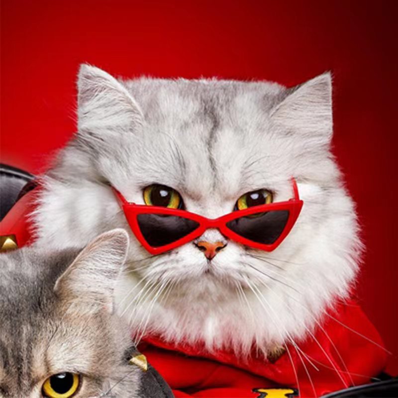 Unique Stylish Chic Dog & Cat Glasses - PIKAPIKA