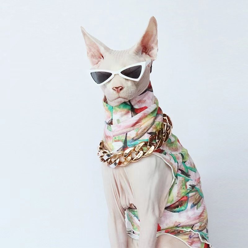 Unique Stylish Chic Dog & Cat Glasses - PIKAPIKA