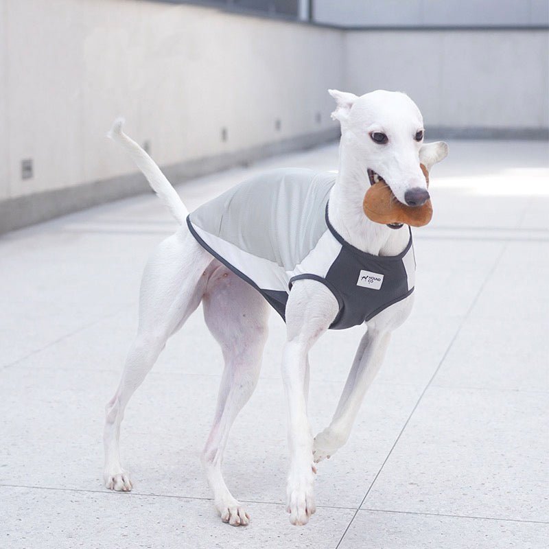 UV Protection Tank Top Shirts Italian Greyhound Whippet Dog Clothes - PIKAPIKA