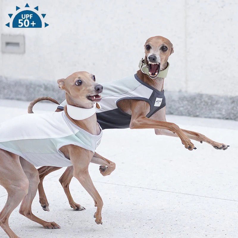 UV Protection Tank Top Shirts Italian Greyhound Whippet Dog Clothes - PIKAPIKA