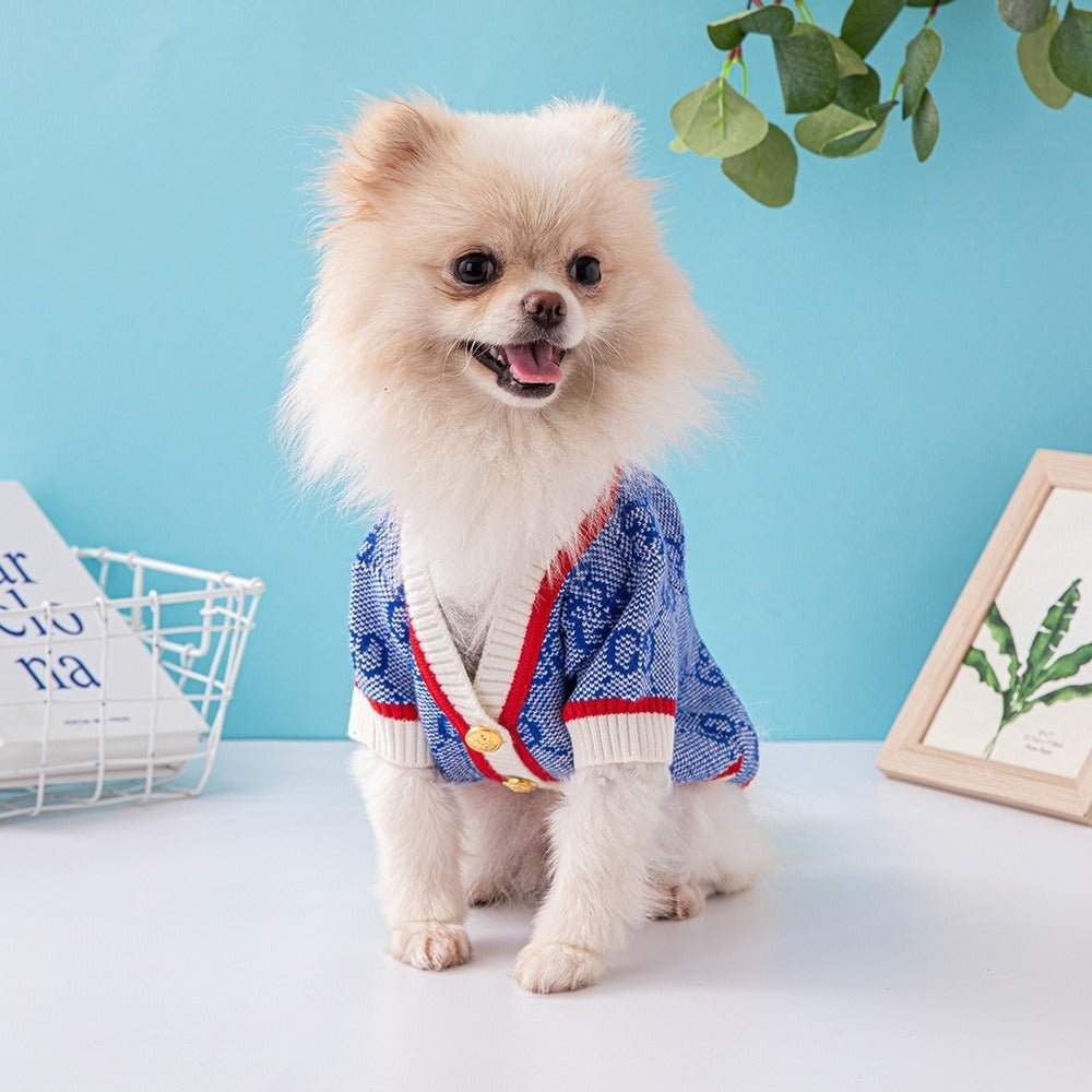 V - neck Button Knitting Sweater Dog Clothes G Sky Blue - PIKAPIKA