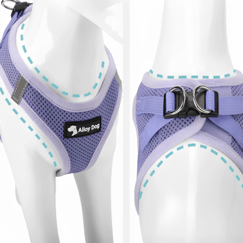 Vest Dog Harness H - Shaped Adjustable Leash for Small Medium Dogs - PIKAPIKA