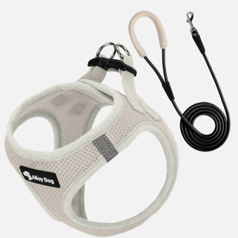 Vest Dog Harness H - Shaped Adjustable Leash for Small Medium Dogs - PIKAPIKA