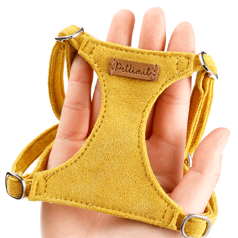 Vest - Style Dog Leash Harness Toy Small Dog Pet Walking Supplies - PIKAPIKA