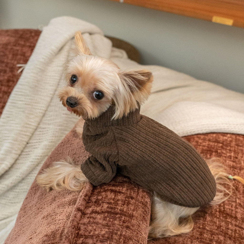 Warm Earth Tone Shirt for Toy Dogs Korean Style - PIKAPIKA
