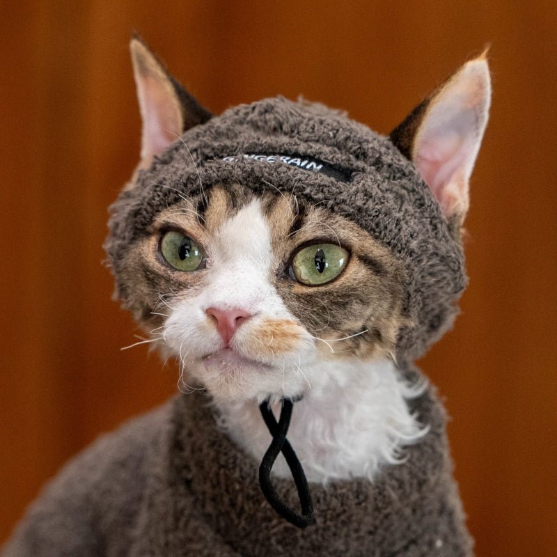 Warm Hoodie Suit Hat Devon Rex Sphynx Cat Clothes - PIKAPIKA