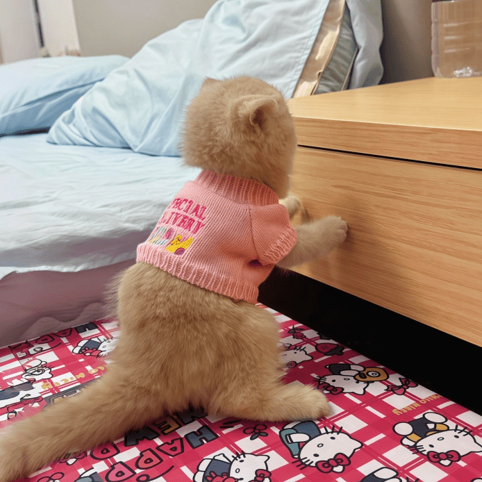 Warm Knit Sweater Kitten Clothes Small Cat Home Wear Autumn Winter - PIKAPIKA