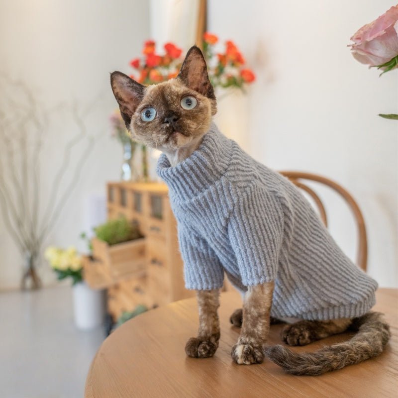 Warm Knit Sweater Sphynx Cat Clothes Devon Rex Cozy Outfit - PIKAPIKA