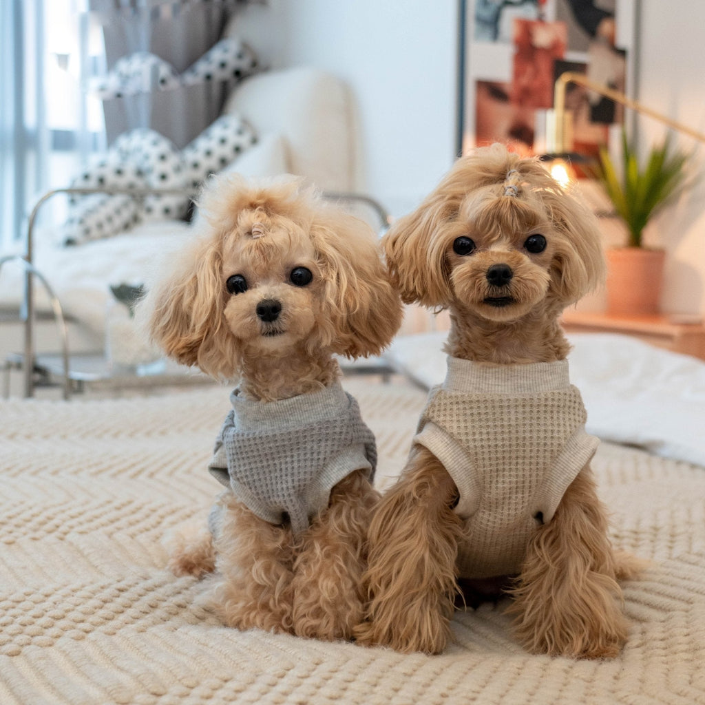 Warm Stretch Waffle Tank Top for Toy Dogs - PIKAPIKA