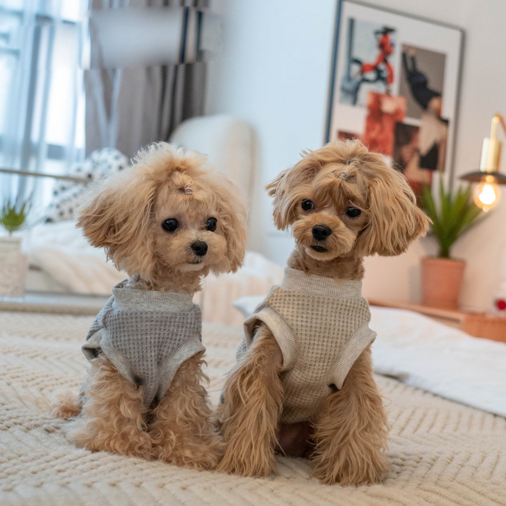 Warm Stretch Waffle Tank Top for Toy Dogs - PIKAPIKA