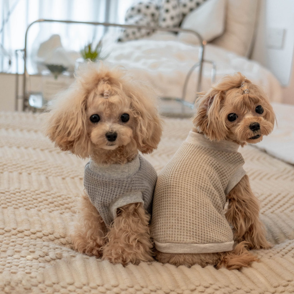 Warm Stretch Waffle Tank Top for Toy Dogs - PIKAPIKA