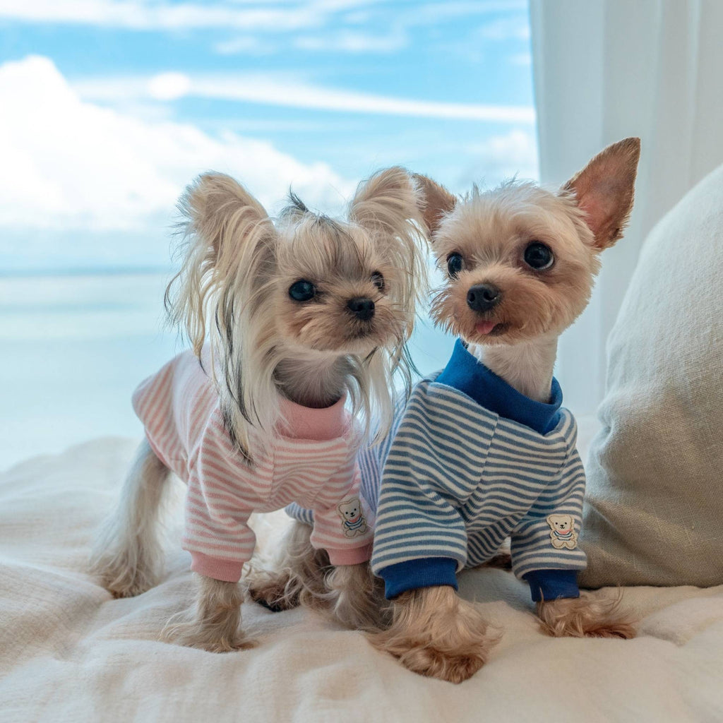 Warm Stripe Cotton Undershirt for Toy Dogs - PIKAPIKA