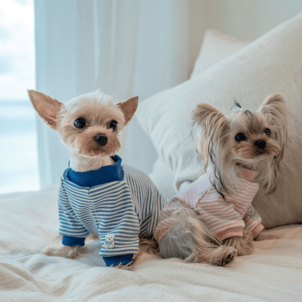 Warm Stripe Cotton Undershirt for Toy Dogs - PIKAPIKA