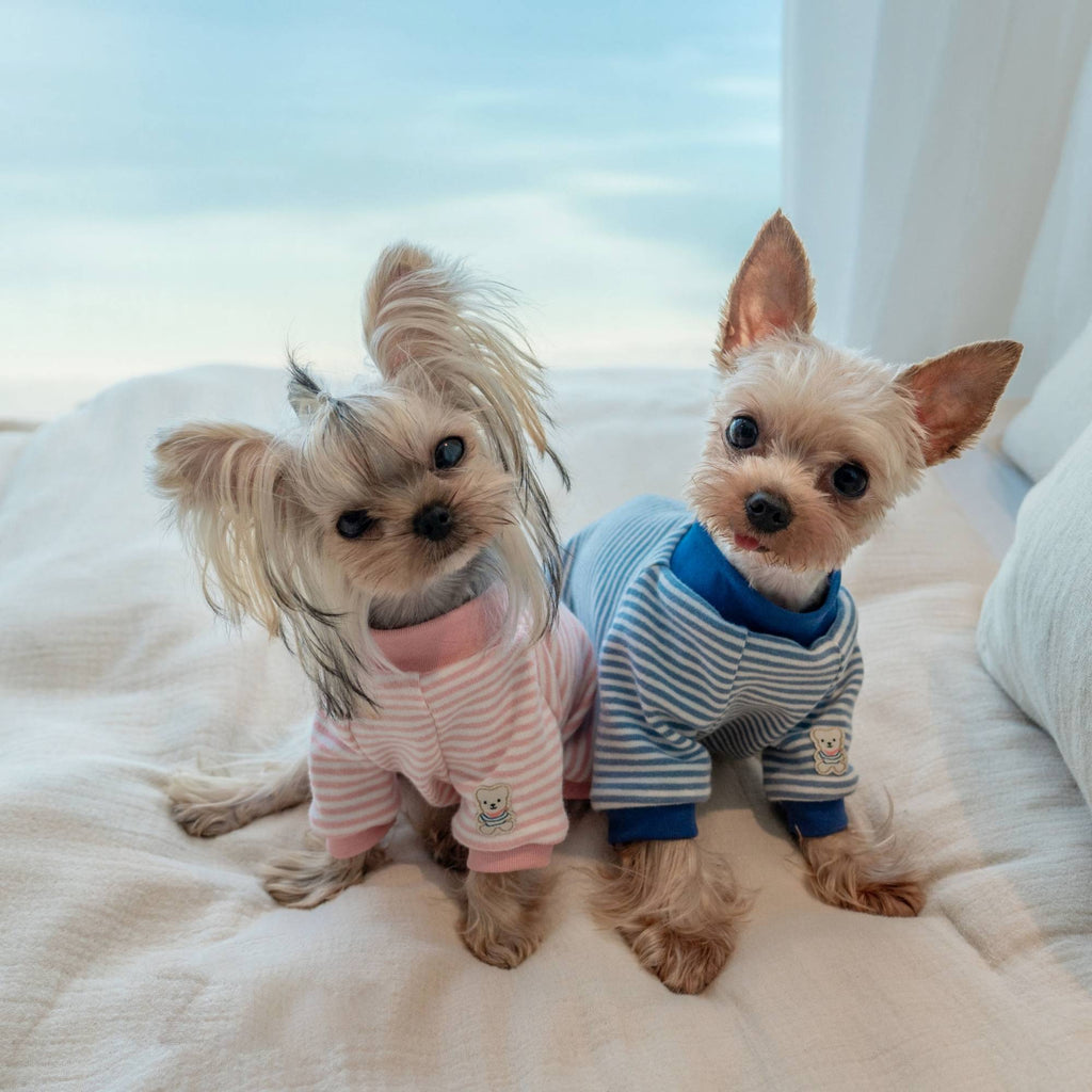 Warm Stripe Cotton Undershirt for Toy Dogs - PIKAPIKA