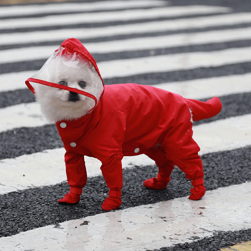 Waterproof Full - Cover Raincoat with Hood for Small and Medium Dogs Four - Leg Pet Rainwear - PIKAPIKA