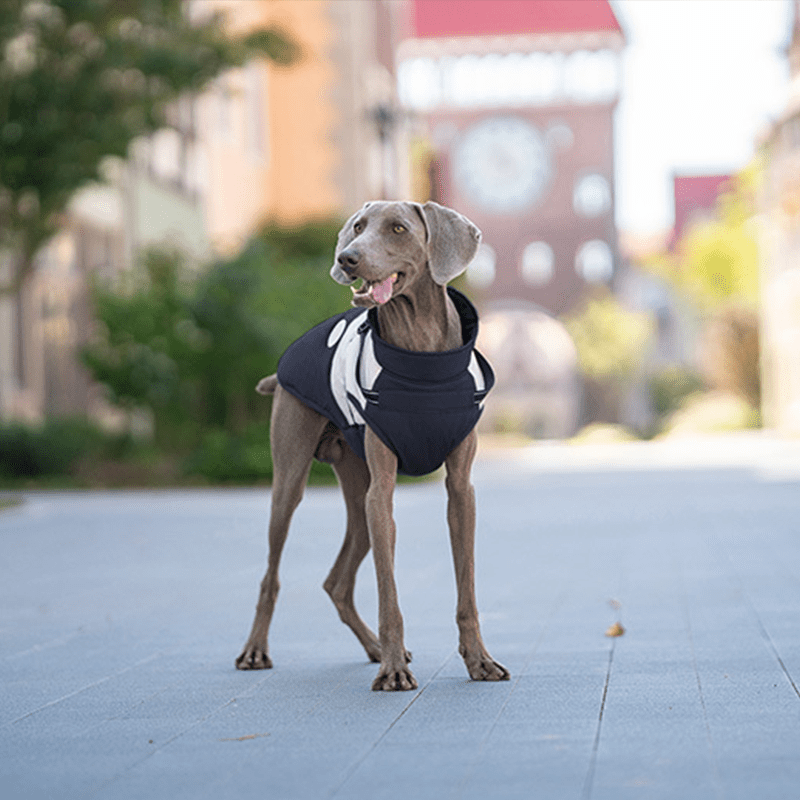 Waterproof Warm Vest Whippet Greyhound Winter Dog Clothes - PIKAPIKA