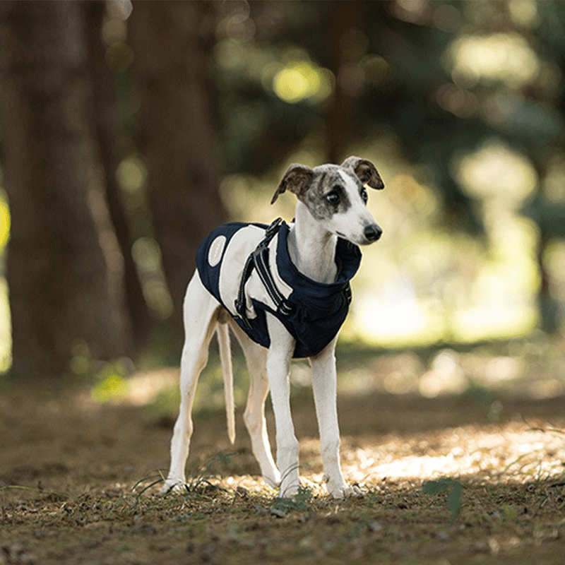 Waterproof Warm Vest Whippet Greyhound Winter Dog Clothes - PIKAPIKA