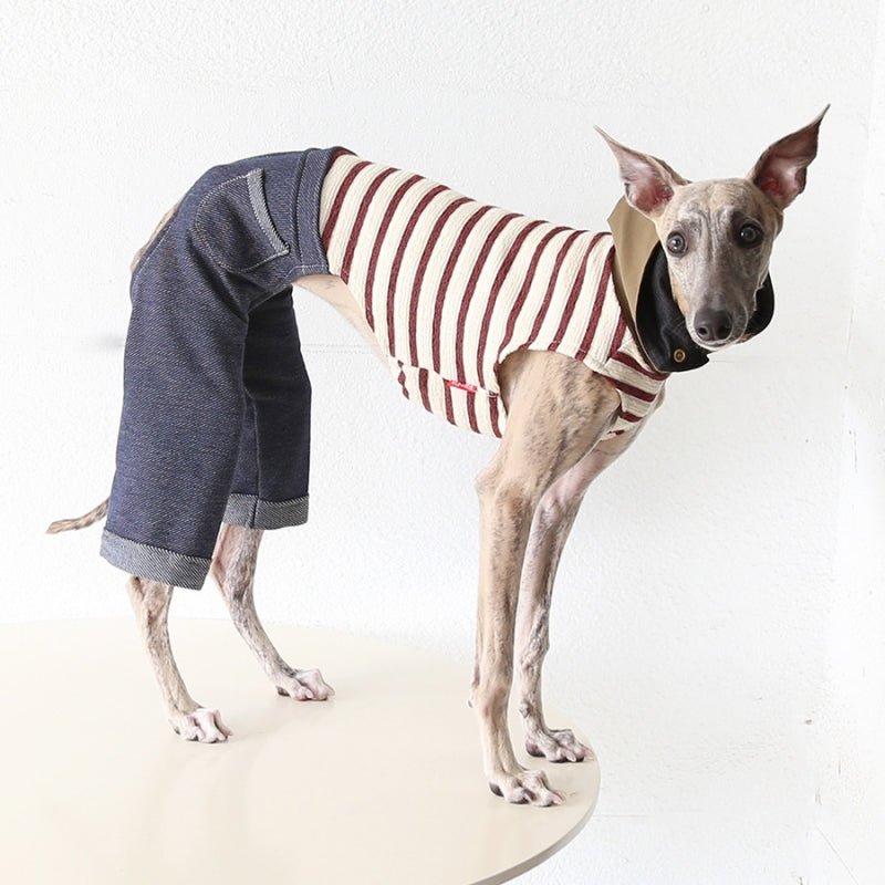 Wide Leg Denim Pants Italian Greyhound Whippet Dog Clothes - PIKAPIKA