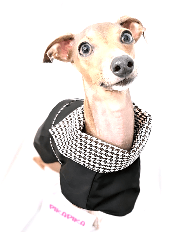 Wind Coat Cloak for Italian Greyhound Whippet Dog Clothes - PIKAPIKA
