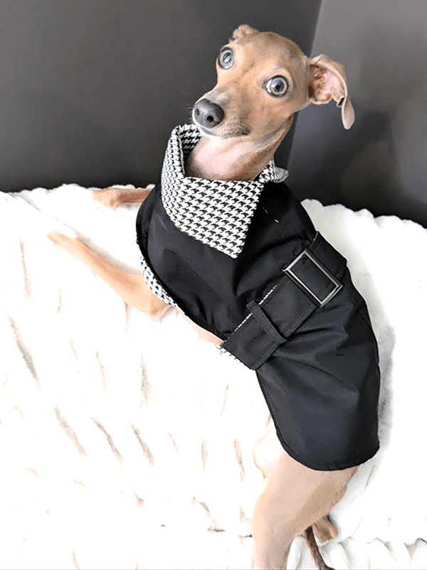 Wind Coat Cloak for Italian Greyhound Whippet Dog Clothes - PIKAPIKA