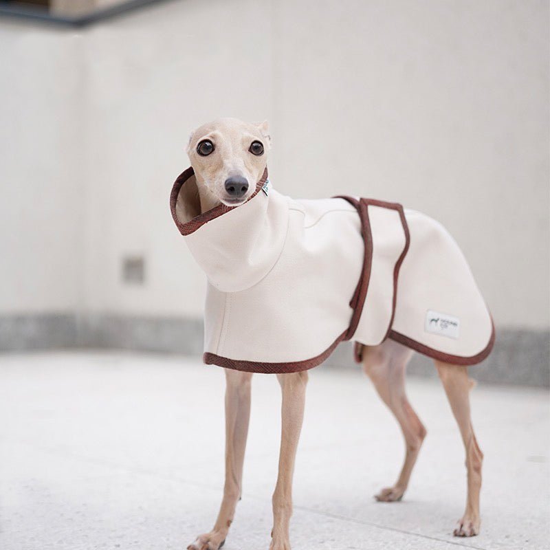 Windproof Trench Coat Italian Greyhound Whippet Dog Clothes - PIKAPIKA