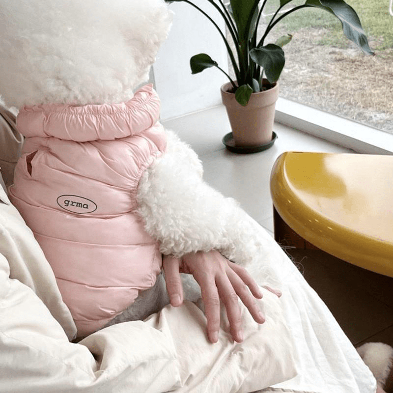 Winter Down Jacket Small Medium Dogs Warm Cotton Vest - PIKAPIKA