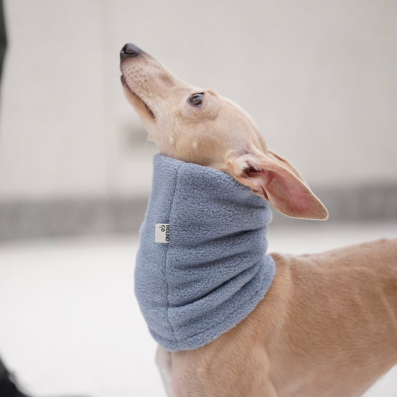 Winter Scarf for Italian greyhound Whippet - PIKAPIKA