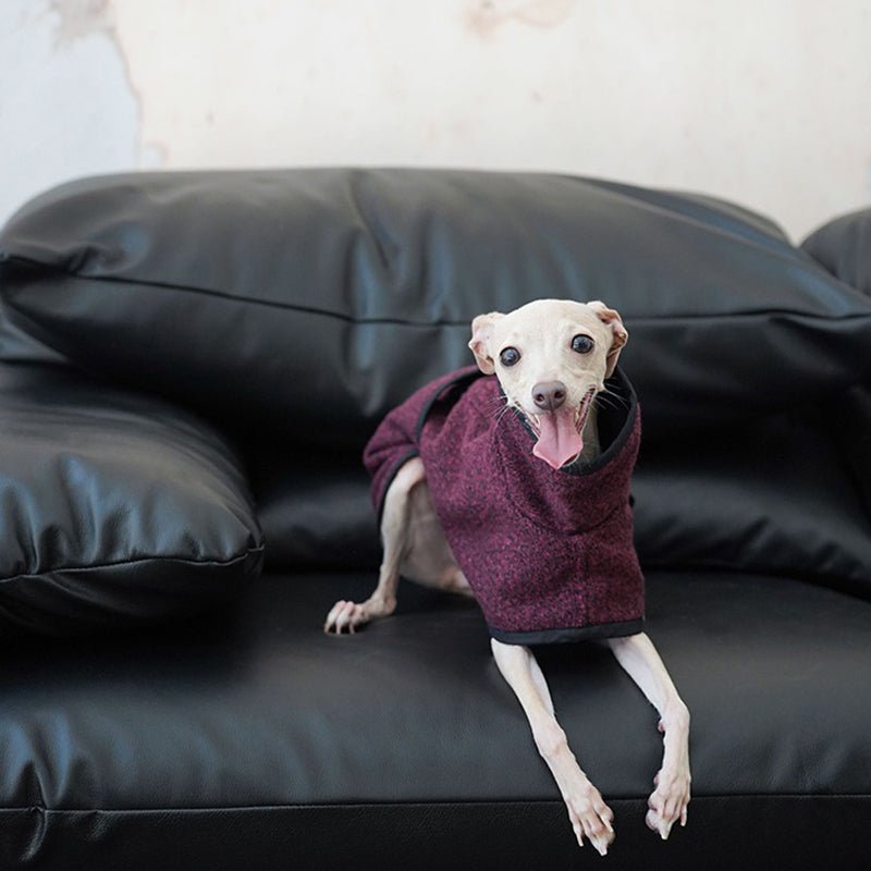 Woolen Coat Jacket for Italian Greyhound Whippet - PIKAPIKA