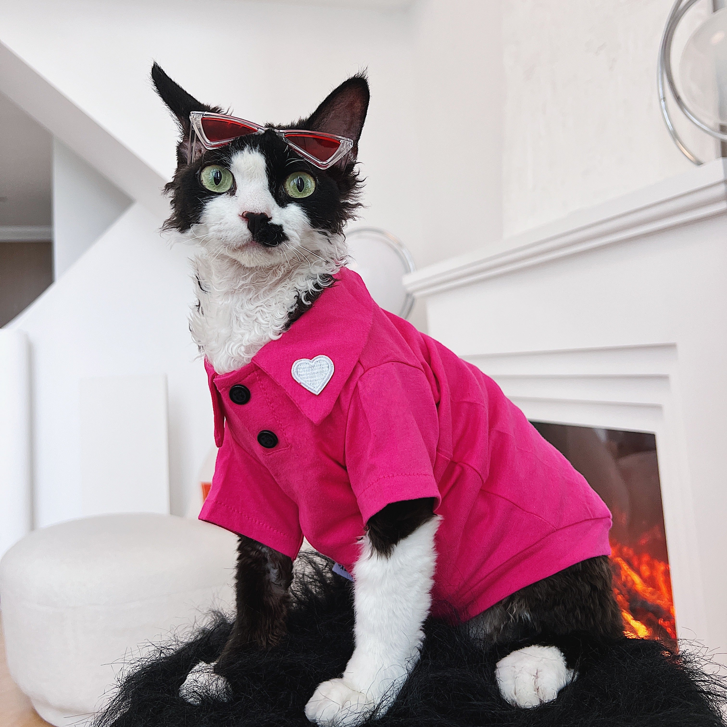 Sphynx Cat Clothing - Polocats