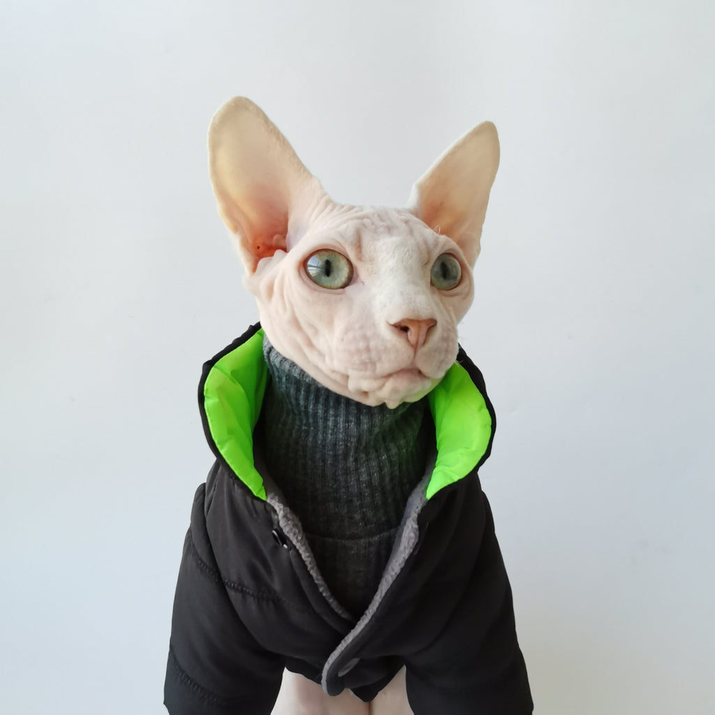Sphynx Cat Clothes Cotton Padded Jacket Coat - PIKAPIKA