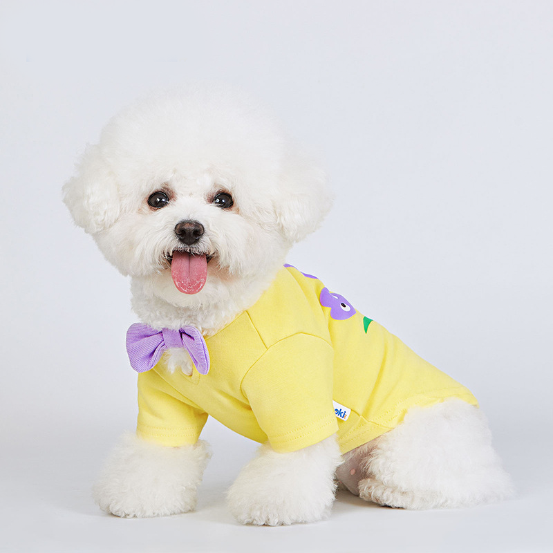 Bichon 2024 frise clothes